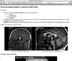 The pilot HIT we tried on Mechanical Turk. Nov 28, 2011